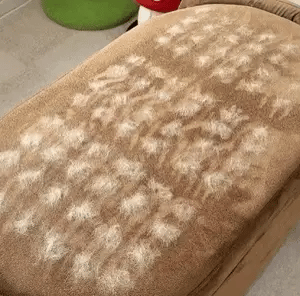 Magic Brush™
